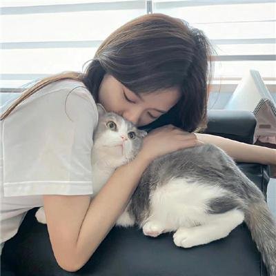 多情的野猫